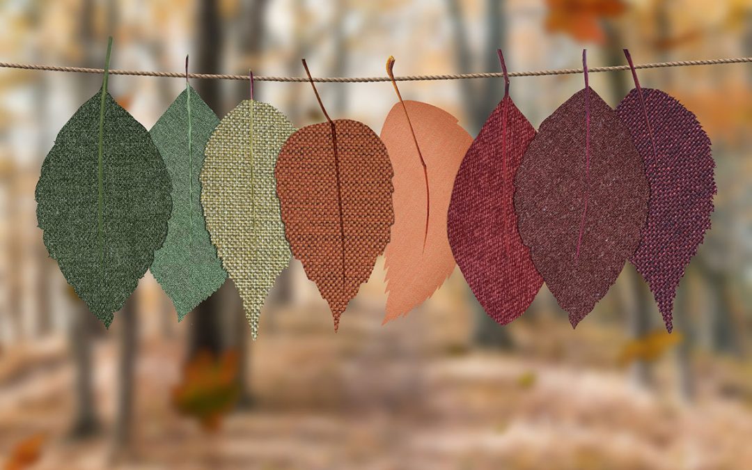 All About Fabric