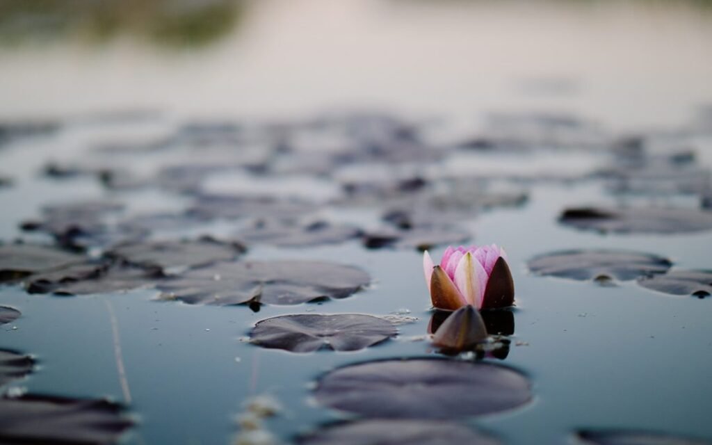 Finding your Sewing Zen (or how to deal with frustration)