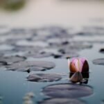 Finding your Sewing Zen (or how to deal with frustration)