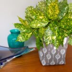 Square-Based Fabric Bucket Tutorial