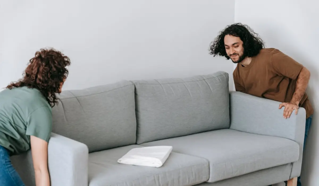 Comfortable Sofa Beds image