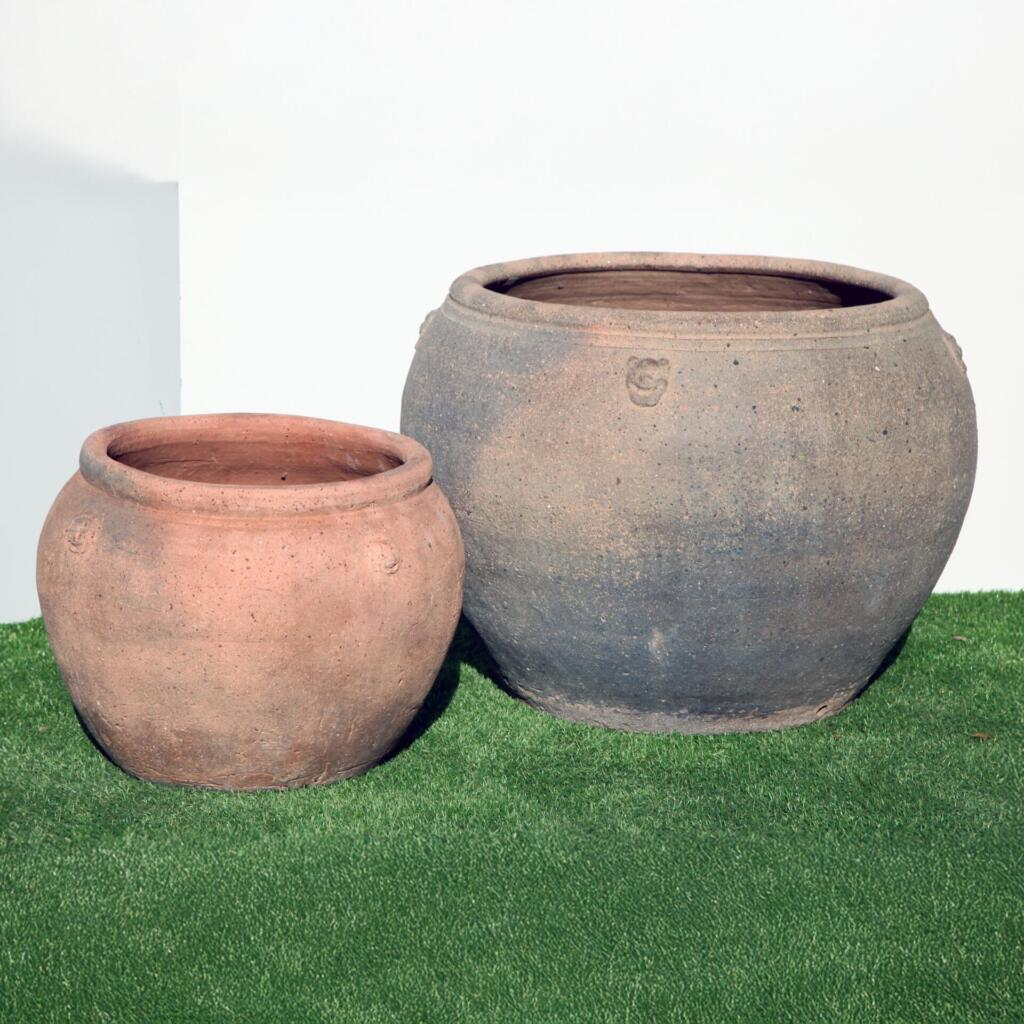 Plant Pots for Your Garden image