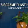 Macrame Plant Hangers image