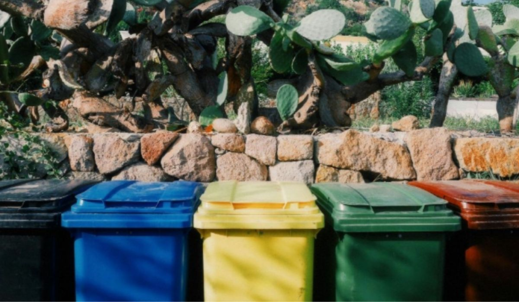 Sorting Out Waste image