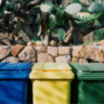 Sorting Out Waste image