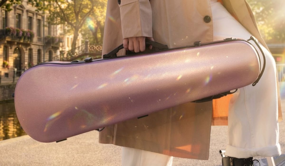 Violin Cases image