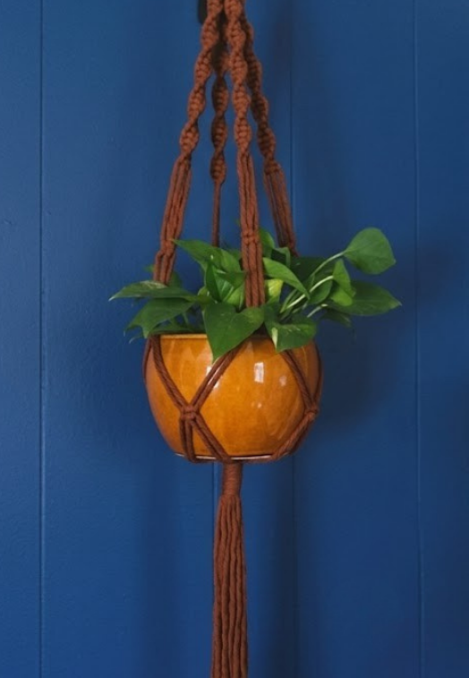 Macrame Plant Hangers image