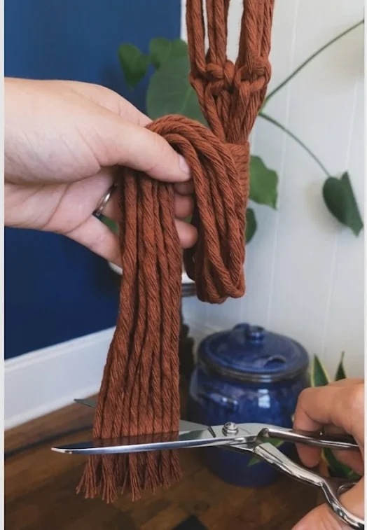 bottom gathering knot image