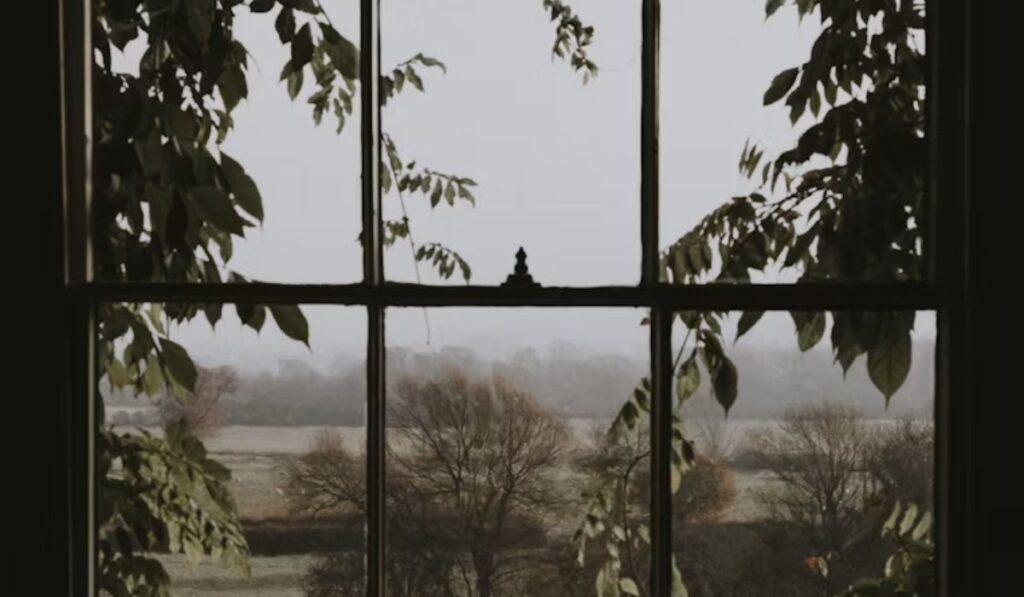 window image