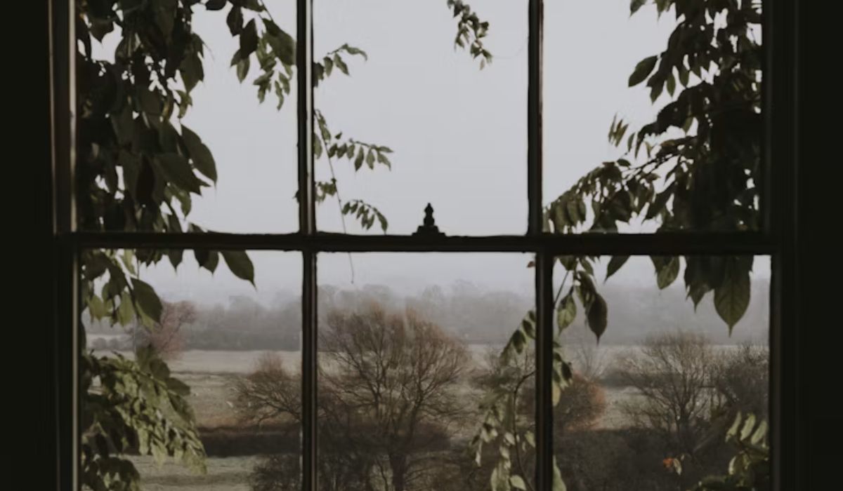 window image