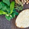 Plant Protein Powder image