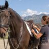 EQ Saddlery image