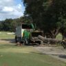 Professional Arborists image