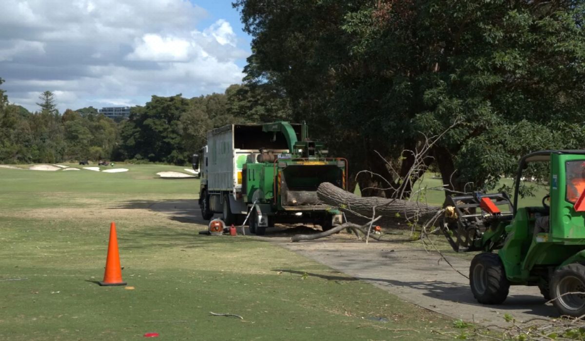 Professional Arborists image