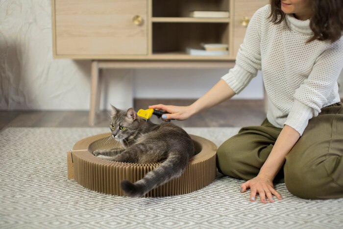 Cat litter image